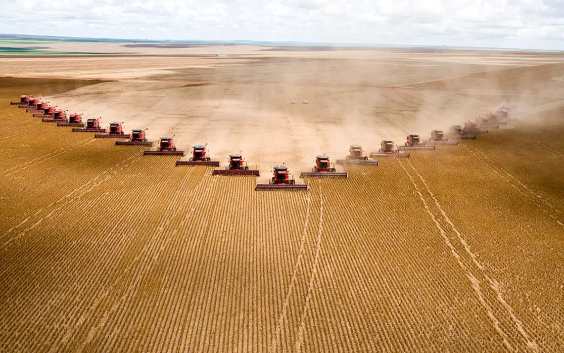 agricultura, empresa de consultoria, especialistas