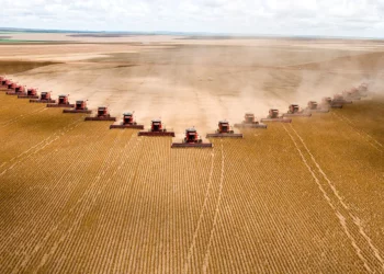 agricultura, empresa de consultoria, especialistas