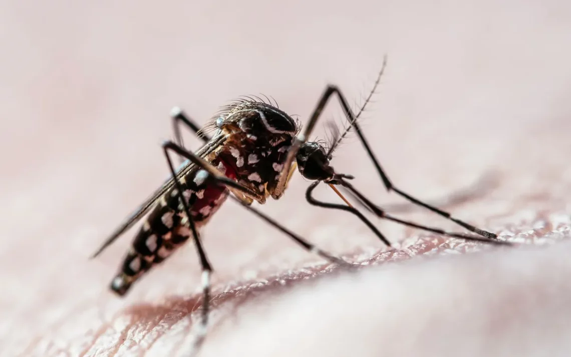 febre, infecção autolimitada, vírus