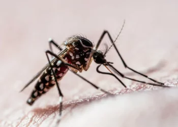 febre, infecção autolimitada, vírus