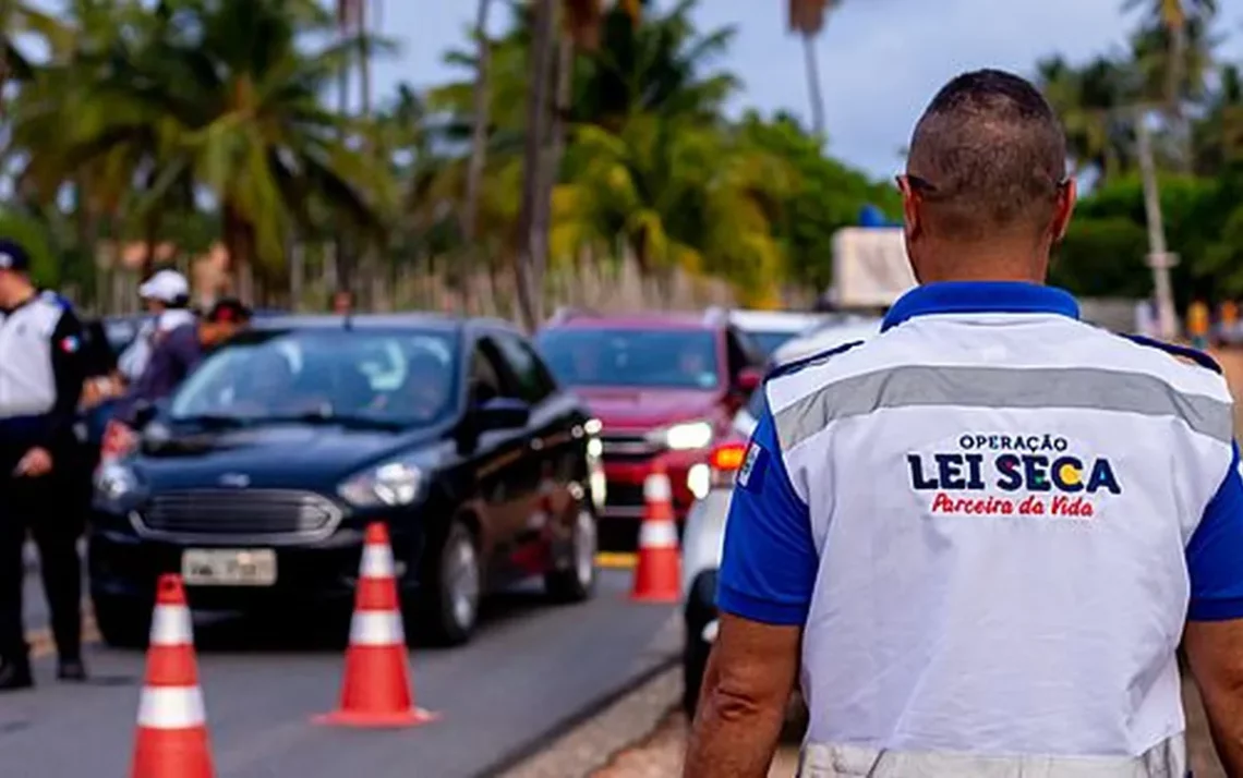 Operação Lei Seca, Lei Seca