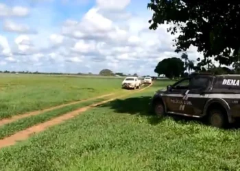 desflorestamento, destruição ambiental