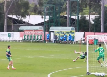 apresentação, retorno, reintegração