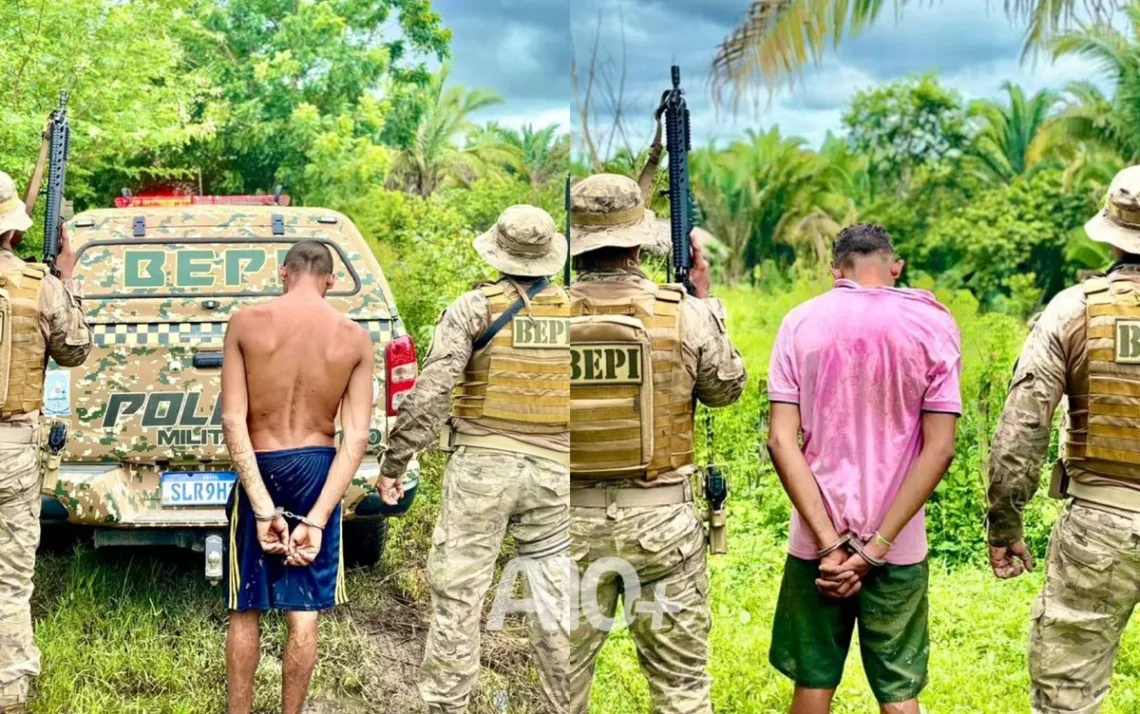 detenção, captura, custódia