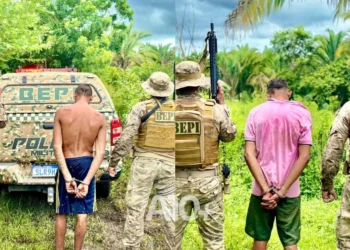 detenção, captura, custódia