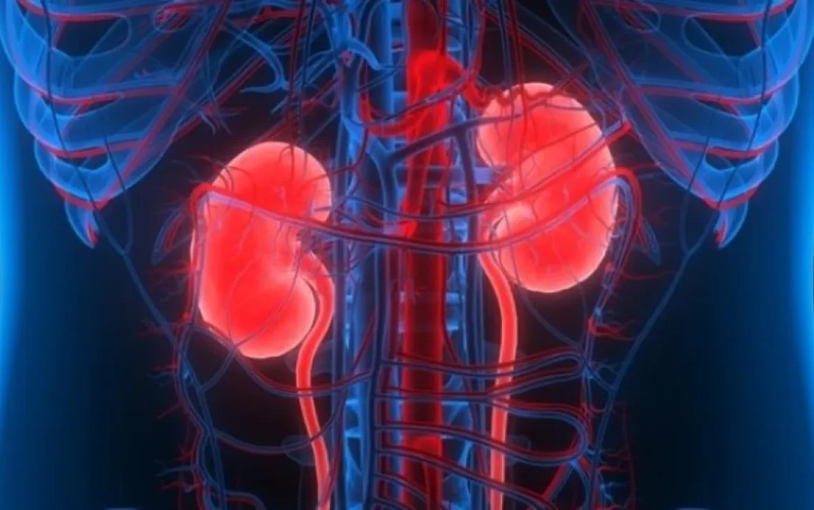 doença renal, tratamento da doença renal