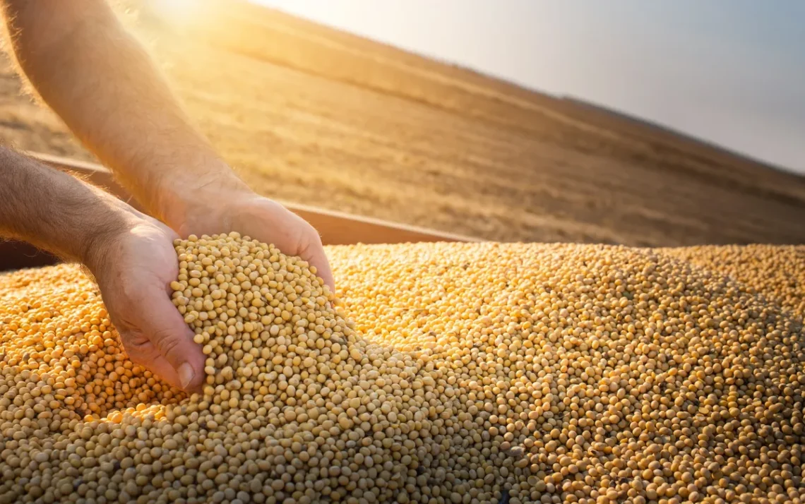 Fundos de Investimento em Cadeias Agroindustriais, Fundo da AgriConnection