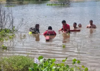 submersão, afogadura, asfixia aquática