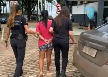 genitora, mulher