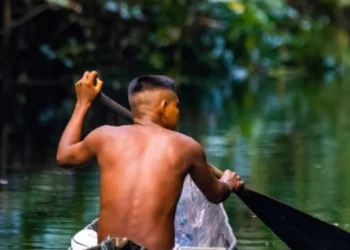 congresso sobre educação ambiental, Educação Ambiental dos Países e Comunidades de Língua Portuguesa, EA Lusófono, cerimônia de lançamento