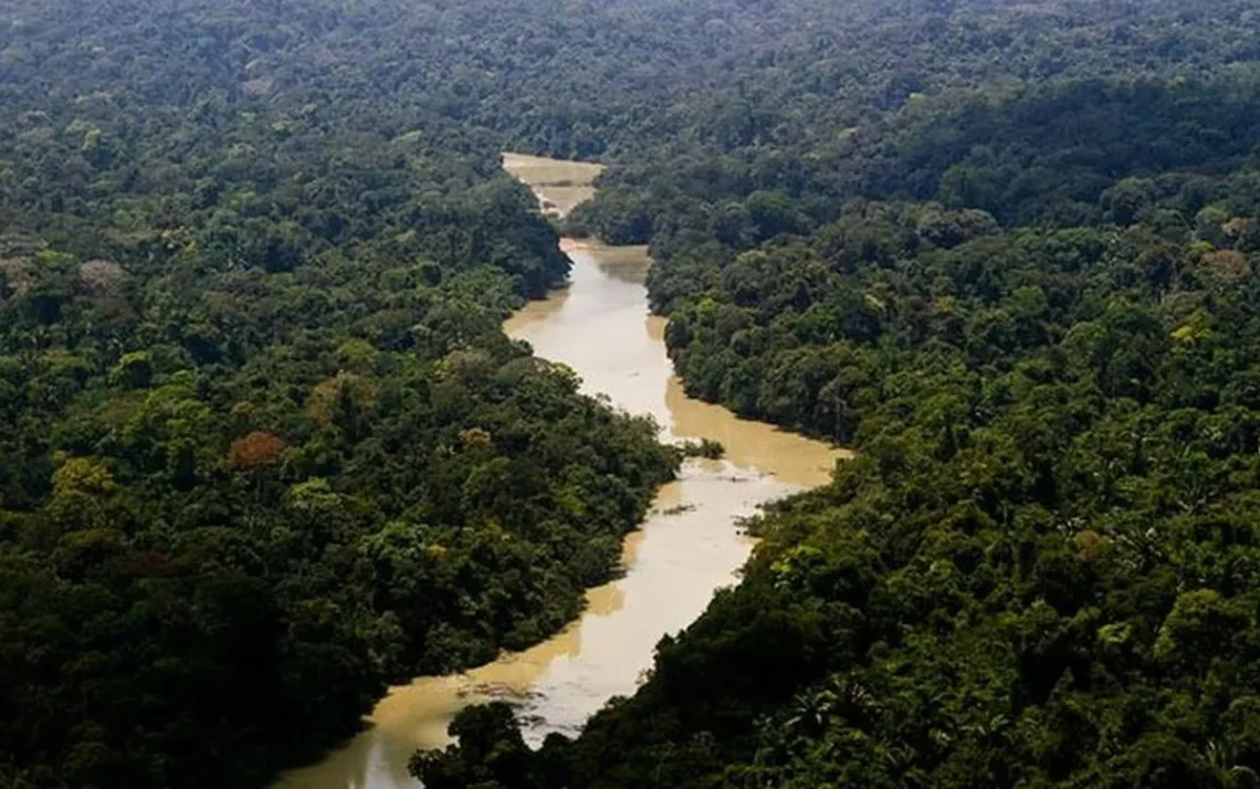 Meio ambiente, Meio ambiente, Preservação ambiental