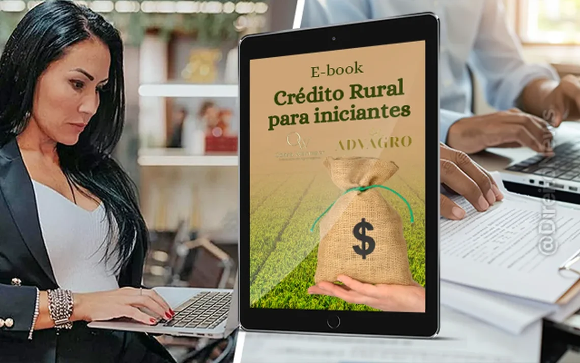 financinga, agricola, dividas, rurais, setor, agropecuario;