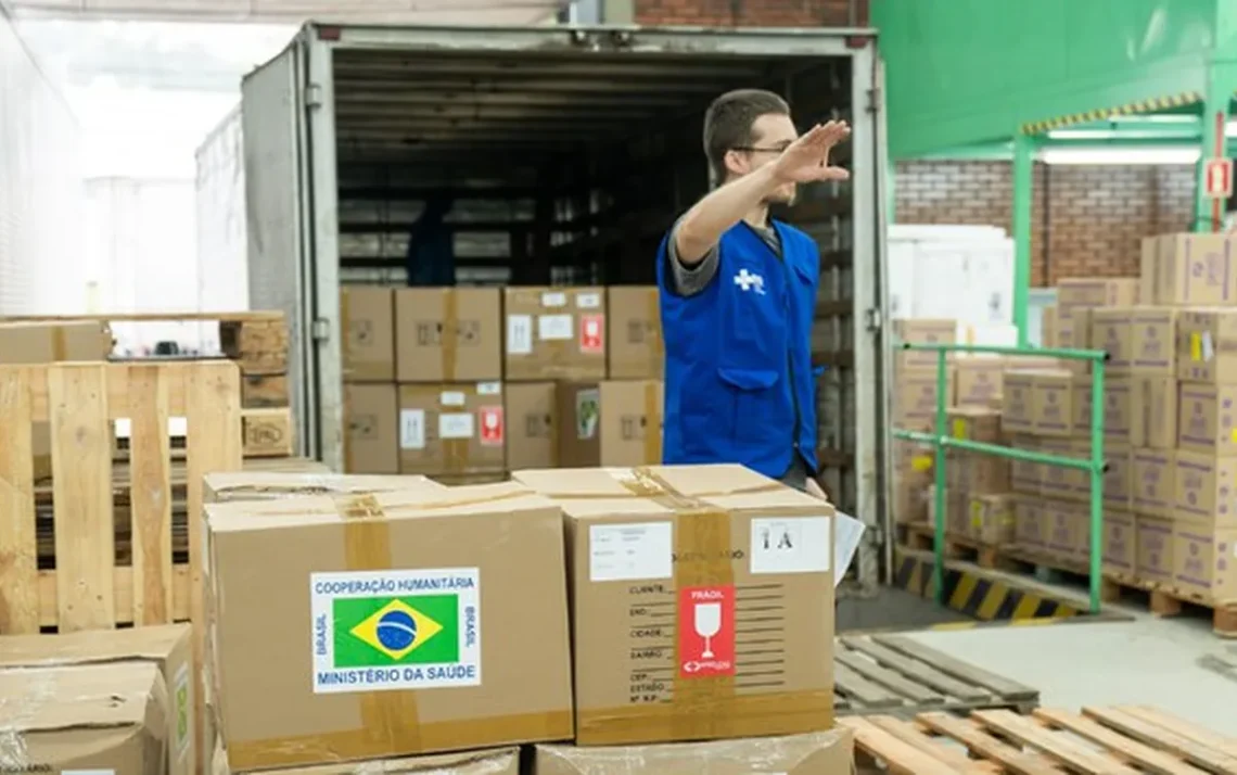 remédios, capacidade, insumos estratégicos, atenção, equipes, rede, de assistência;