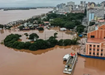 doença bacteriana, infecção, leptospira, casos, mortes leptospirose;