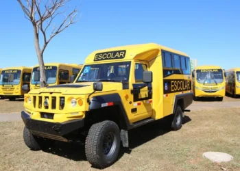 veículos escolares, modelos de ônibus;