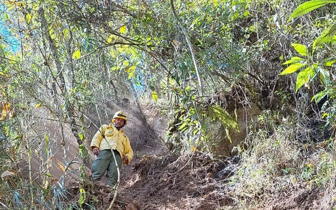 queimada, fogo, queimada;