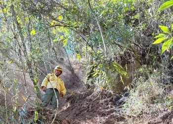 queimada, fogo, queimada;