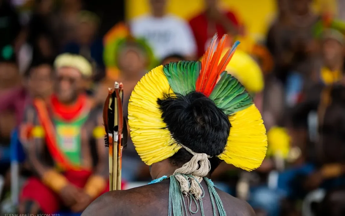 idiomas nativos, línguas originais, línguas autóctones;