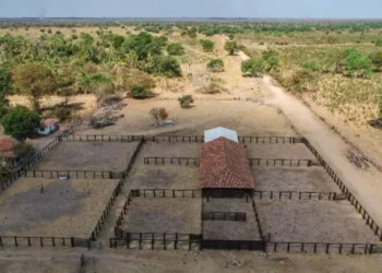 propriedade rural, fazenda;