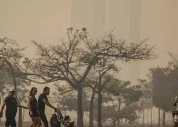 poluentes, neblina, partículas, queimadas;