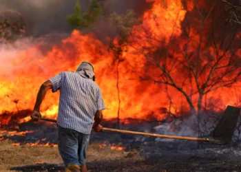 incêndios, chamas, incêndios florestais;