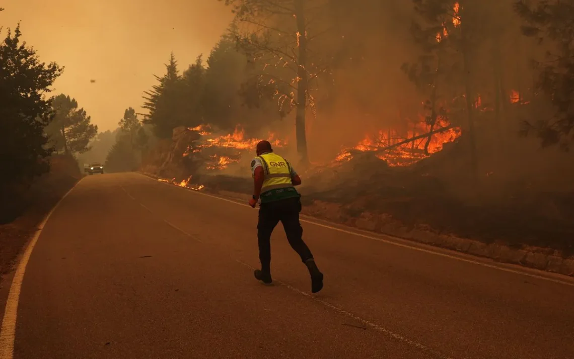 incêndios florestais, incêndios devastadores;