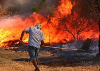 incêndios, focos, de incêndio, fogo;