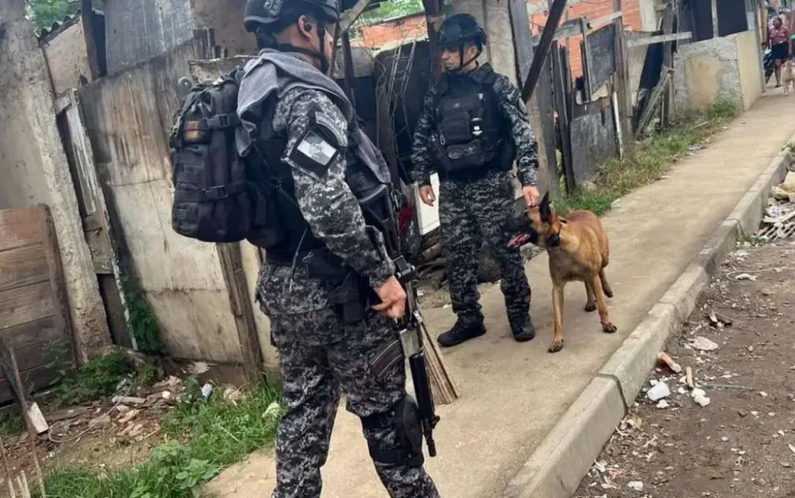 ações policiais, operações da polícia, operações policiais por dia';