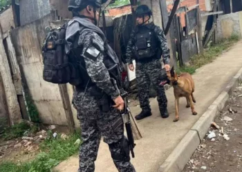 ações policiais, operações da polícia, operações policiais por dia';