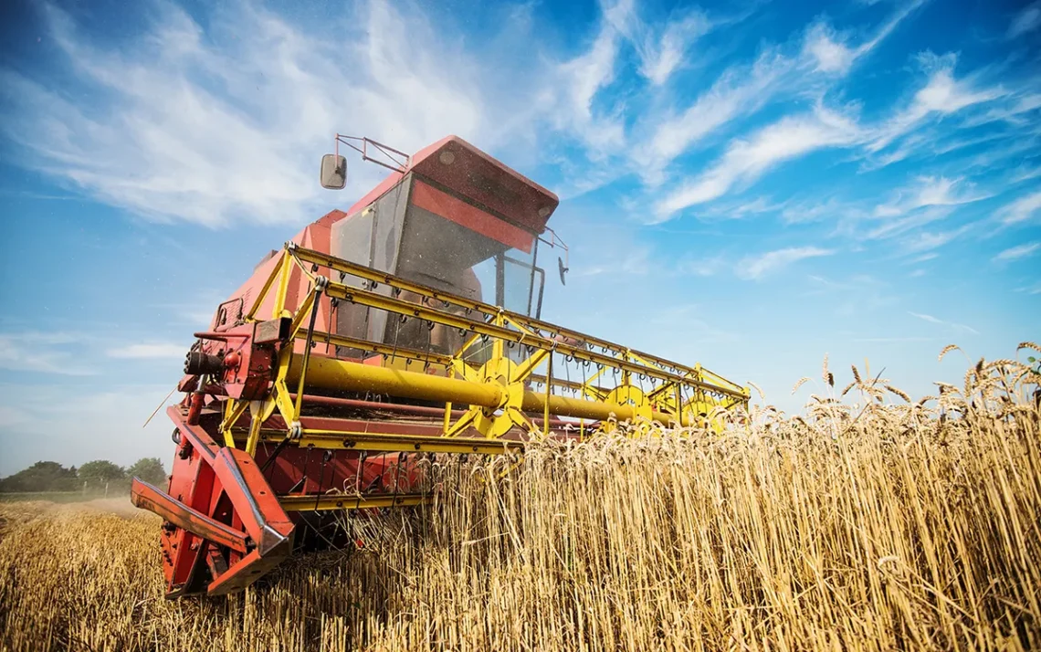 Agricultura, Nacional, Desenvolvimento, Rural, Setor, Agrícola';