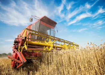 Agricultura, Nacional, Desenvolvimento, Rural, Setor, Agrícola';